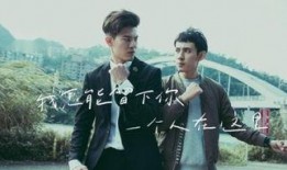 history系列在线观看视频在线观看,history系列视频深度解析